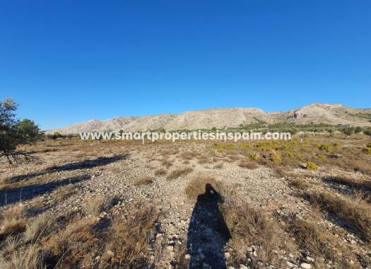 Reventa - Terreno - Villena