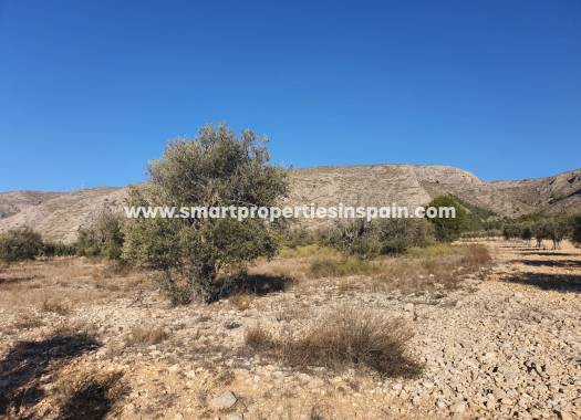 Reventa - Terreno - Villena