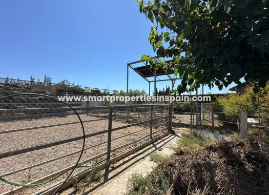 Revente - Bungalow - San Fulgencio
