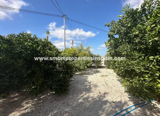 Reventa - Casa de campo - Crevillente