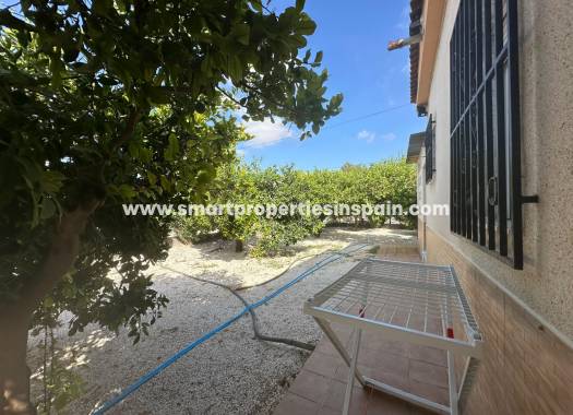 Reventa - Casa de campo - Crevillente