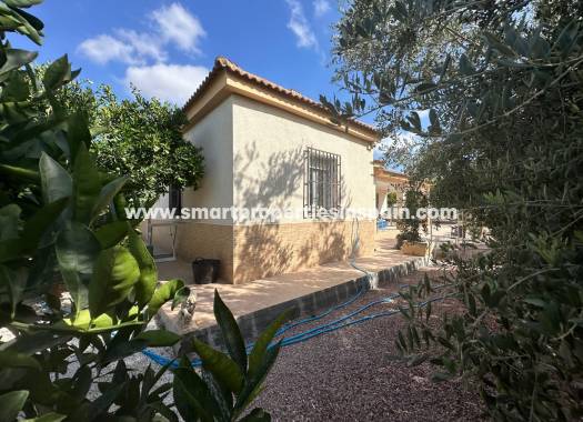 Reventa - Casa de campo - Crevillente