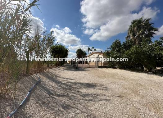 Reventa - Casa de campo - Crevillente