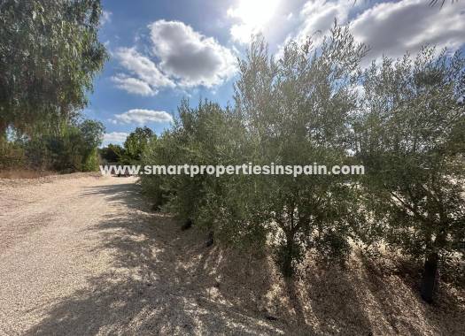 Reventa - Casa de campo - Crevillente