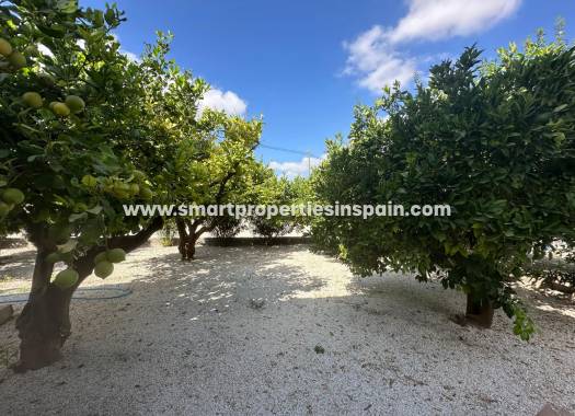 Reventa - Casa de campo - Crevillente