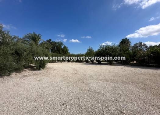 Reventa - Casa de campo - Crevillente