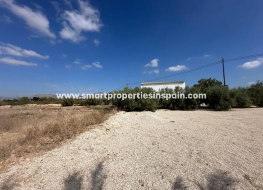 Reventa - Casa de campo - Crevillente
