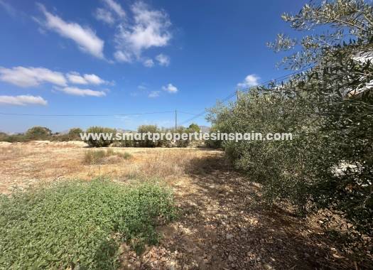 Reventa - Casa de campo - Crevillente
