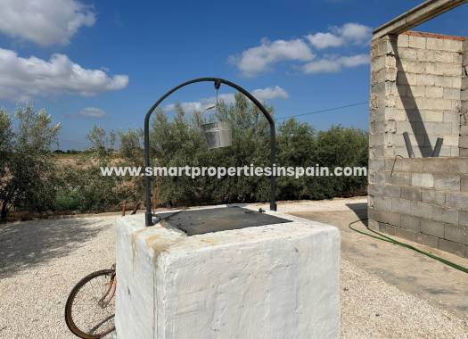Reventa - Casa de campo - Crevillente