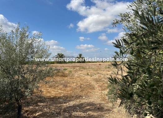 Reventa - Casa de campo - Crevillente