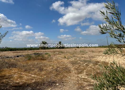 Reventa - Casa de campo - Crevillente