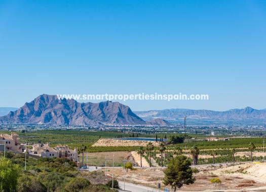 New Build - Detached Villa - Algorfa