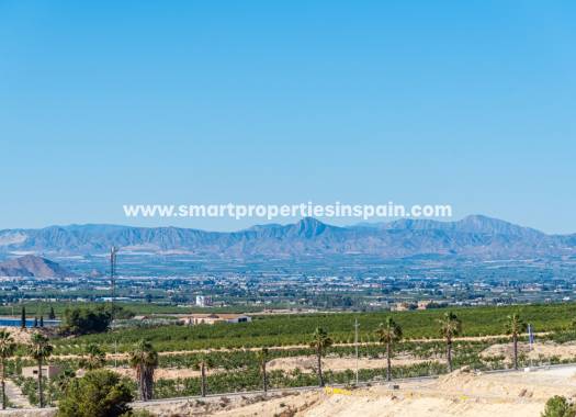 New Build - Detached Villa - Algorfa